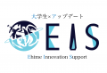 EIS